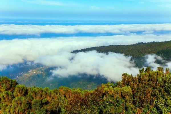 Las Laderas Las Montañas Están Cubiertas Densos Bosques Isla Madeira — Foto de Stock