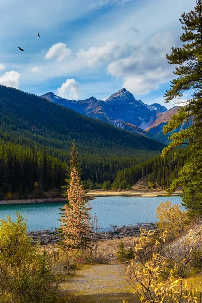 Autumn Day Indian Summer Mountain Slopes Overgrown Coniferous Forests Mountain — Stock Photo, Image