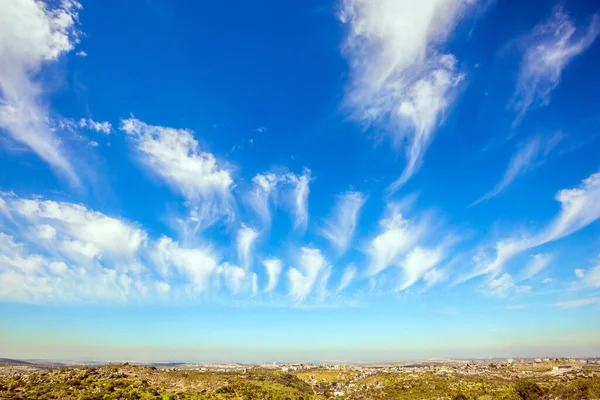 Bright blue spring sky. Spring in Israel. Flying light cirrus clouds. The warm spring sun illuminates the earth