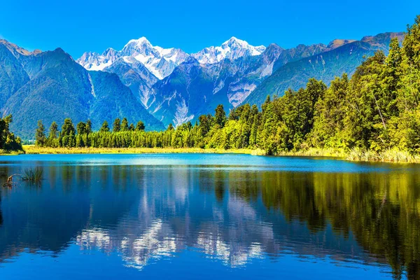 Lesy Mount Cook Mount Tasman Nádherné Zasněžené Hory Obklopují Hladké — Stock fotografie