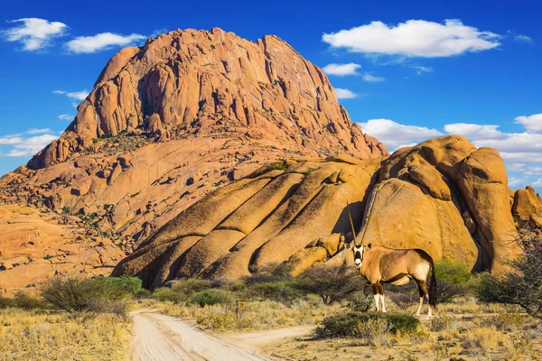 Cestování Afriky Malebné Kameny Namibské Poušti Dlouhonohá Antilopa Oryx Koncept — Stock fotografie