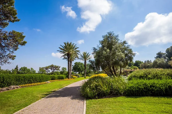 カーメル山の斜面にある壮大な植物公園 イスラエルだ 暖かい晴れた日 石の舗装された景勝地 きれいな手入れの行き届いた公園で素晴らしい散歩 — ストック写真