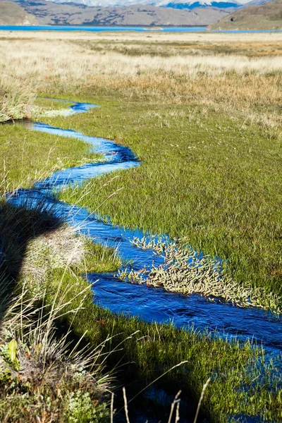 Pampas Omringen Besneeuwde Bergen Kleine Plassen Beekjes Begroeid Met Gras — Stockfoto