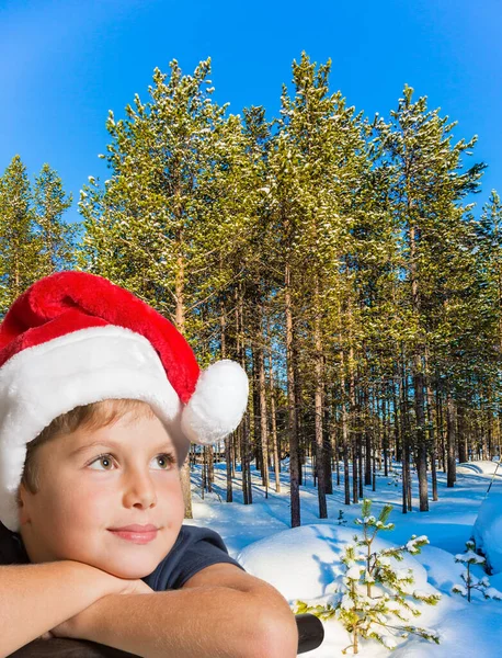 Kuzey Kutbu Nda Dondurucu Kış Günü Laponya Kırmızı Noel Baba — Stok fotoğraf