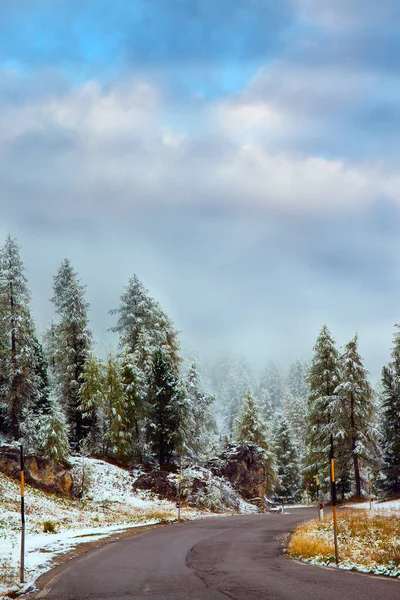 白云石阿尔卑斯山 高山口的壮丽全景第一场雪下起了 蜿蜒的湿路和巨大的常绿云杉覆盖着初雪 生态和摄影旅游的概念 — 图库照片
