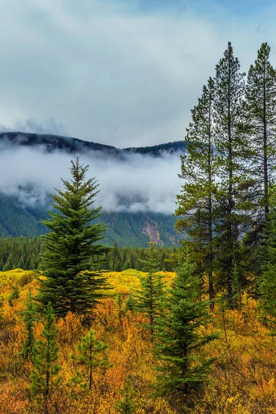 Kanada Nın Rocky Dağları Sarı Turuncu Kırmızı Sonbahar Yaprakları Dağlık — Stok fotoğraf