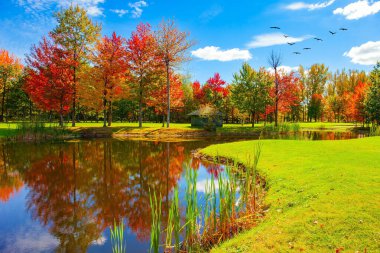 Kırmızı ve portakal ağaçları göletin pürüzsüz suyuna yansıdı. Bromont yolu, Kanada. Sonbaharın sihirli renkleri. Sıcak, güneşli bir sonbahar günü. 