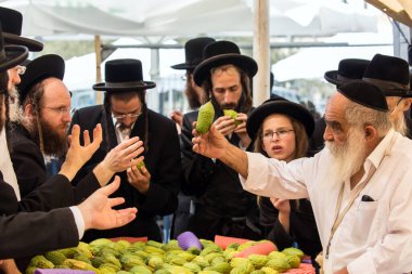 JERUSALEM, ISRAEL - 20 Eylül 2018: Sukkot arifesinde Kudüs 'teki tatil pazarı. Dindar genç Yahudiler muhteşem bir ağacın meyvesi olan etrog 'u seçerler. Fotoğraf turizmi kavramı 