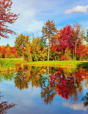 Zarif oval gölet. Kırmızı, sarı ve portakal ağaçları göletin yumuşak suyuna yansıyor. Bromont yolu, Kanada. Sonbaharın sihirli renkleri. Sıcak bir gün.. 