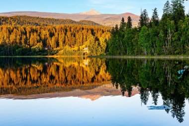 Sonbahar ormanı gölün pürüzsüz suyuna yansıyor. Kırsal güzelliğin muhteşem vahası. Güneşli bir gün. Clearwater, İngiliz Kolombiyası kırsalında. Kanada 'ya seyahat.