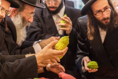 JERUSALEM, ISRAEL - 20 Eylül 2018: dindar genç ve yaşlı Yahudiler etrogu seçerler. Sukkot arifesinde Kudüs 'te tatil öncesi çarşı. Dini ve fotoğraf turizmi kavramı