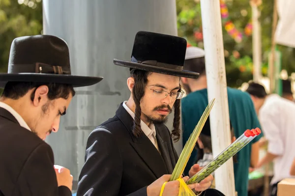 JERUSALEM, ISRAEL - 20 Eylül 2018: Dindar adamlar - siyah şapkalı Yahudiler lulavı dikkatle seçtiler. Kudüs 'te tatil pazarı. Dini, etnografik ve fotoğraf turizmi kavramı