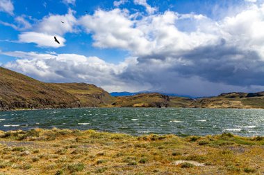 Laguna Las Mellizas. Torres del Paine Ulusal Parkı. Güçlü Patagonya rüzgarı gölde dalgaları yönlendirir. Patagonya. Şili. 