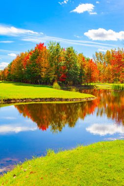 Kanada mı? Sonbaharın sihirli renkleri. Kırmızı, sarı ve portakal ağaçları göletin yumuşak suyuna yansıyor. Sıcak, güneşli bir sonbahar günü.
