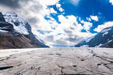 Kanada Kayalıkları 'nda manzaralı otoyol. Buzulların, dağların, şelalelerin ve vahşi yaşamın muhteşem manzaralarıyla ünlüdür. Buzsahaları Parkway. 