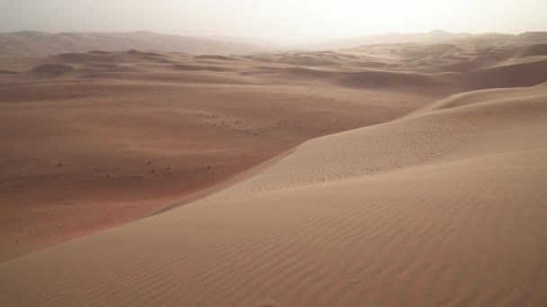 Belle dune multicolori nel deserto di Rub al Khali Emirati Arabi Uniti stock footage video — Video Stock