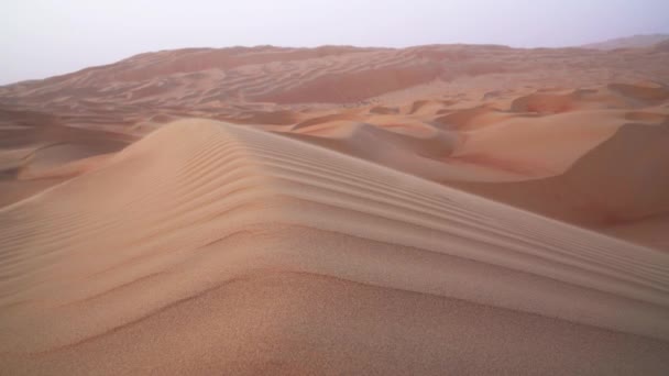 美丽的摩擦 al Khali 沙漠在日落阿拉伯联合酋长国股票录像视频 — 图库视频影像