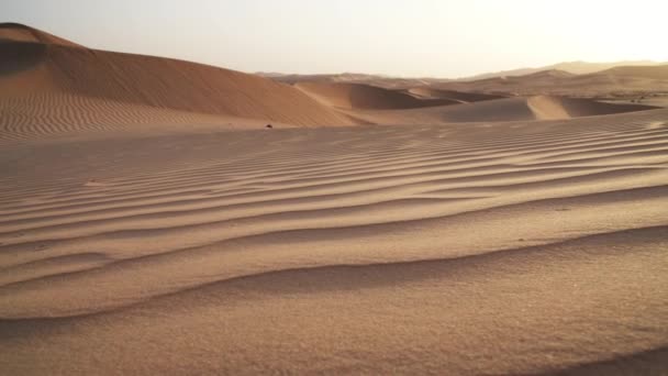 Belo Rub al Khali deserto ao nascer do sol imagens de vídeo — Vídeo de Stock