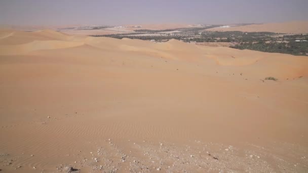 绿洲利瓦在摩擦 al Khali 沙漠阿拉伯联合酋长国股票视频录像 — 图库视频影像
