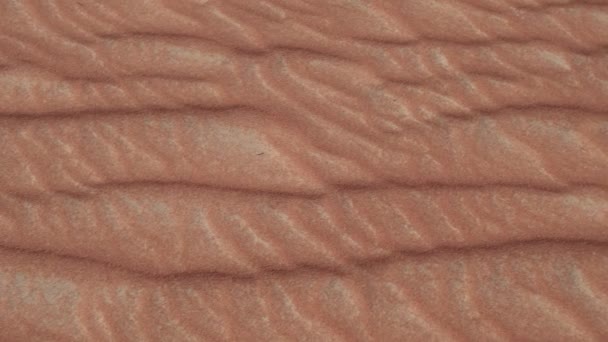 Magnifique sable multicolore dans le désert de Rub al Khali aux Emirats Arabes Unis stock footage video — Video