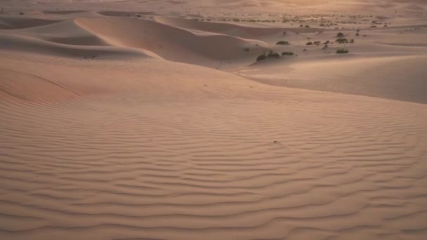 美丽的摩擦 al Khali 沙漠在日出股票录像视频 — 图库视频影像