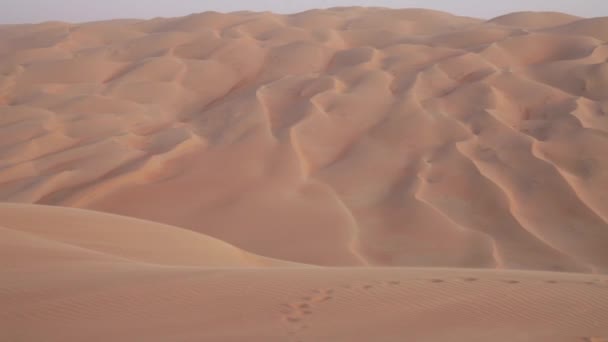 Turistas felizes no deserto de Rub al Khali Emirados Árabes Unidos imagens de vídeo — Vídeo de Stock