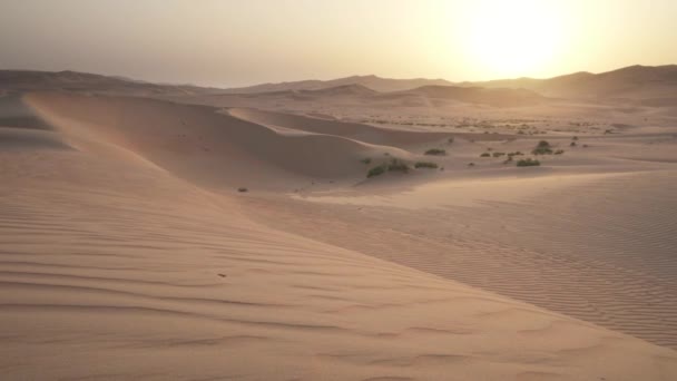 Belo Rub al Khali deserto ao nascer do sol imagens de vídeo — Vídeo de Stock
