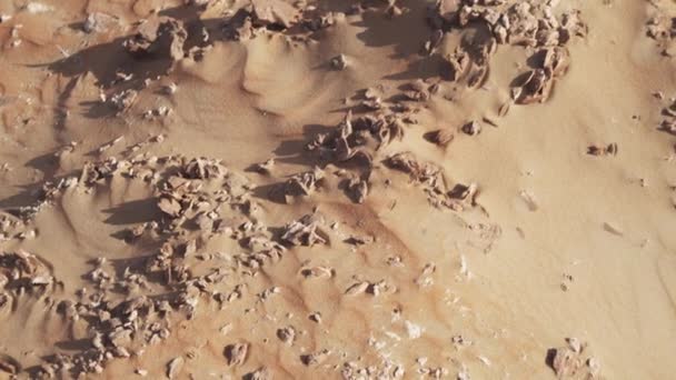 Sivatagi Rózsa kristály klaszterek a gipsz vagy a baryte, amelyek magukban foglalják a bőséges homok szemek, a Rub al Khali sivatagban stock footage videóinak formációk — Stock videók