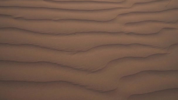 Hermoso Rub al Khali desierto al amanecer material de archivo de vídeo — Vídeo de stock