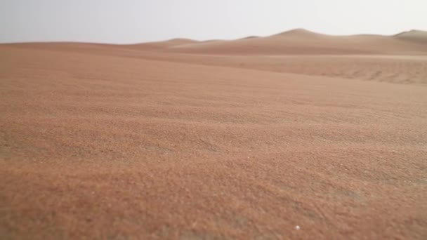 Magnifique sable multicolore dans le désert de Rub al Khali aux Emirats Arabes Unis stock footage video 