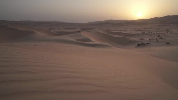 Hermoso Rub al Khali desierto al amanecer material de archivo de vídeo — Vídeos de Stock