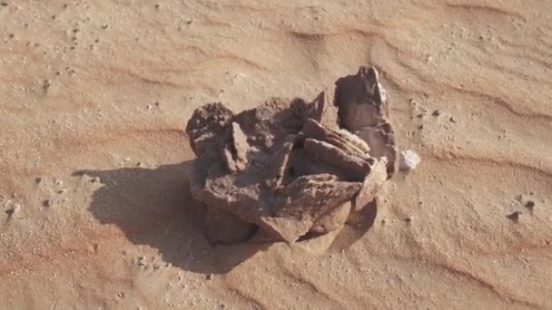 Пустынная роза представляет собой образования хрустальных скоплений гипса или барита, которые включают в себя обильные песчинки в Руб аль-Хали пустыни видео — стоковое видео