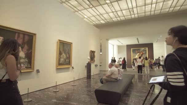 Gente mirando exposiciones en el nuevo Museo del Louvre en Abu Dhabi material de archivo de vídeo — Vídeo de stock