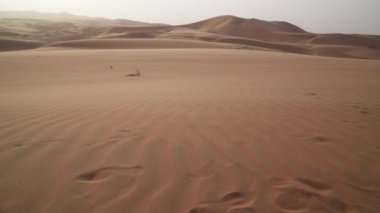 Rüzgar kum Rub al hali çöl Birleşik Arap Emirlikleri Stok görüntüleri arasında video sürücüler