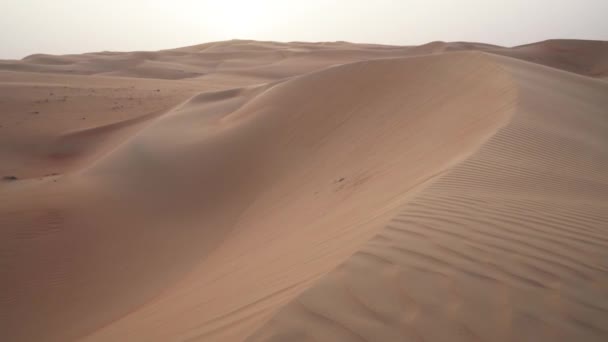 Viento persigue la arena sobre hermosas dunas en el desierto de Rub al Khali antes de la puesta del sol Emiratos Árabes Unidos archivo de vídeo — Vídeo de stock