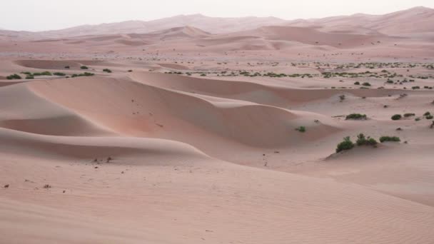 Vackra Rub al Khali öknen vid solnedgången Förenade Arabemiraten arkivfilmer video — Stockvideo