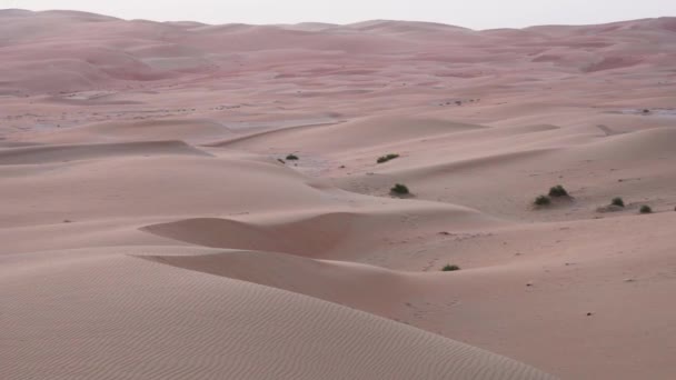 Pięknej pustyni al-Chali w sunrise Stockowy wideo — Wideo stockowe