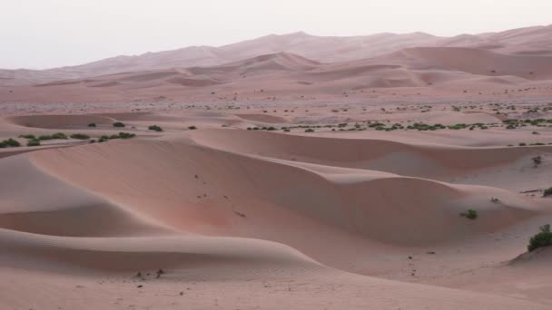 美丽的摩擦 al Khali 沙漠在日落阿拉伯联合酋长国股票录像视频 — 图库视频影像