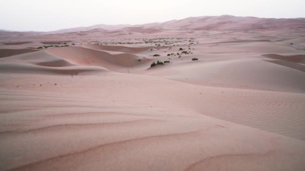Пустыня Руб аль-Хали на закате в ОАЭ снята на видео — стоковое видео