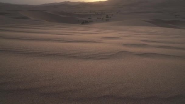 Beautiful Rub al Khali desert at sunrise stock footage video — Stock Video