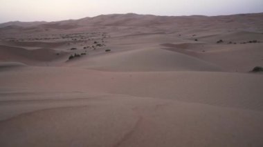 Gün batımı Birleşik Arap Emirlikleri Stok görüntüleri video güzel Rub al hali çöl