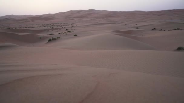 Szép Rub al Khali sivatagban a naplemente Egyesült Arab Emírségek stock footage videóinak — Stock videók