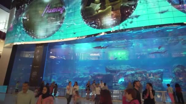 Dubai Aquarium and Under Water Zoo in the shopping centers interior Dubai Mall. Pessoas desfrutando da bela visualização de imagens de vídeo — Vídeo de Stock