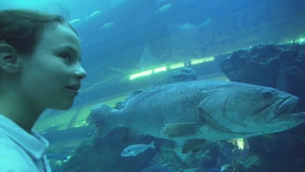 Девочка-подросток с папой забавно смотрят на рыбу в аквариуме — стоковое видео