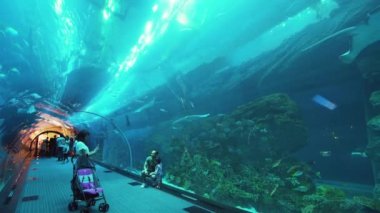 Dubai Mall alışveriş merkezine Stok görüntüleri video içinde belgili tanımlık akvaryum cam tünelde deniz yaşamı insanlara hayranlık duyuyorum
