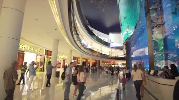 Dubajské akvárium a pod vodou Zoo v nákupní centra interiéru Dubai Mall. Lidé se těší nádherný výhled stopáže videa — Stock video