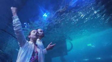 Balık akvaryum Stok görüntüleri video içinde izlerken baba ile genç kız