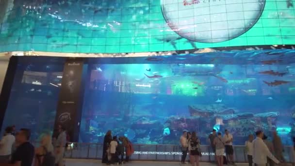 阿联酋迪拜 2018年4月09日 迪拜水族馆和水上动物园在购物中心内部迪拜购物中心 人们欣赏的美丽的看法股票视频 — 图库视频影像