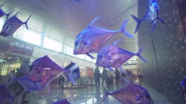 Acuario de pared transparente con hermosos peces en el Dubai Mall, el video de imágenes de archivo del centro comercial más grande del mundo — Vídeos de Stock