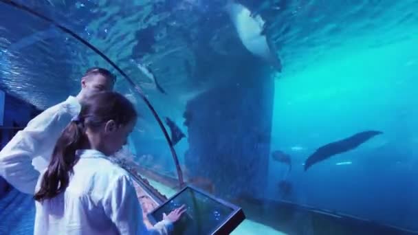 Adolescente com o pai assistindo o peixe em Aquário imagens de vídeo — Vídeo de Stock